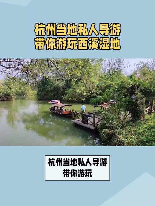 杭州私人导游服务：深度游览西湖、西溪湿地及地道美食体验(图3)