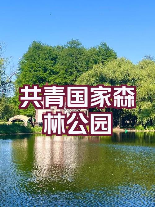 听说上海旅游节10月1号共青森林公园还有活动想去看看大家谁能