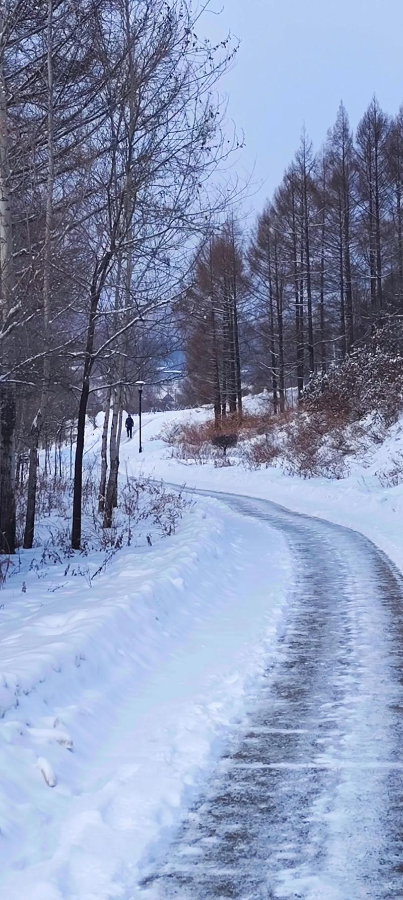 12月1号想去北方旅游不知道哪里下雪好看