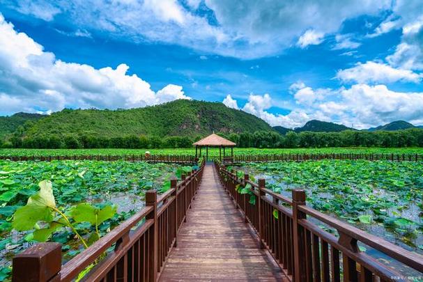 夏天适合去什么地方旅游国内(图1)