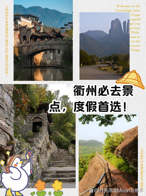 ②这一次活动旨在大力宣传衢州乡村休闲度假旅游A森林旅游进(图1)