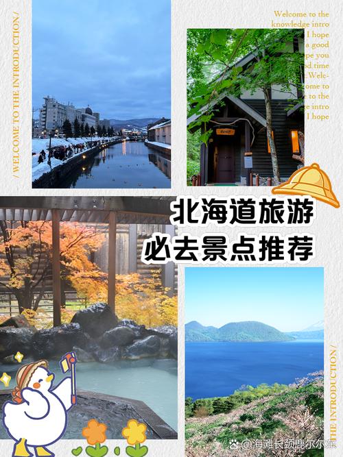 跟团去北海道旅游那个旅行社比较好