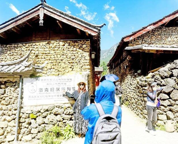 我想在丽江办一个乡村旅游开发公司政府财政有补助吗