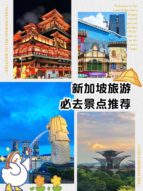 从新西兰去新加坡旅游(图1)