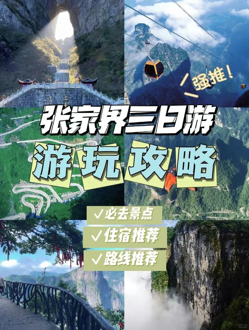 张家界旅游请不请导游