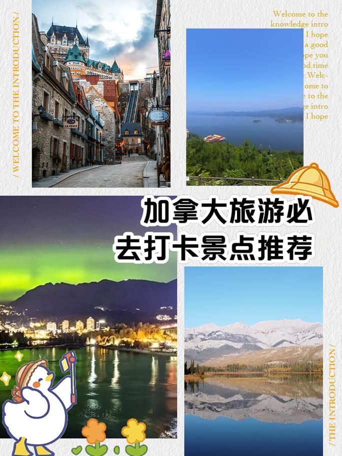 去加拿大旅游有什么值得买的(图1)