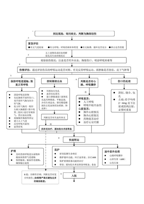 导游要具备哪些安全防范与急救实施流程