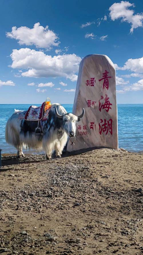 7月初想带家人去青海旅游有八岁的小孩请各位高人给设计一下大约