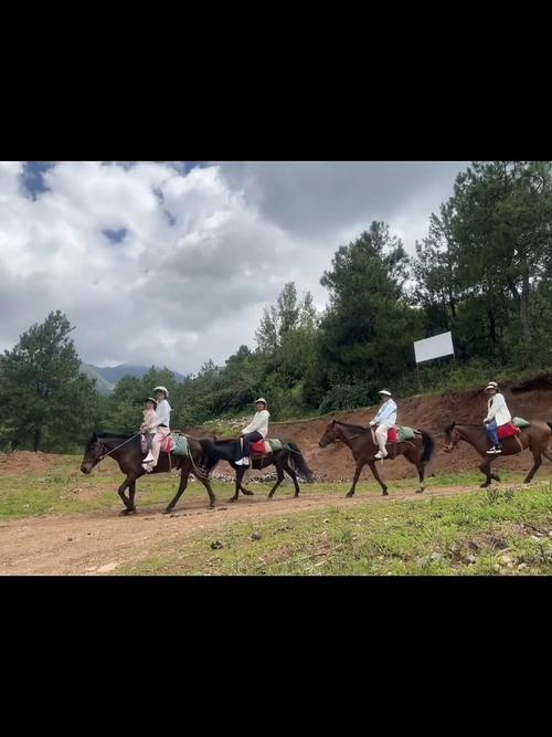 7月去丽江旅游去茶马古道骑马和划船应该不错吧