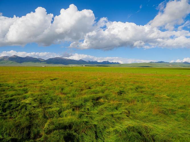 暑假想去四川的草原旅游哪些地方比较好(图1)