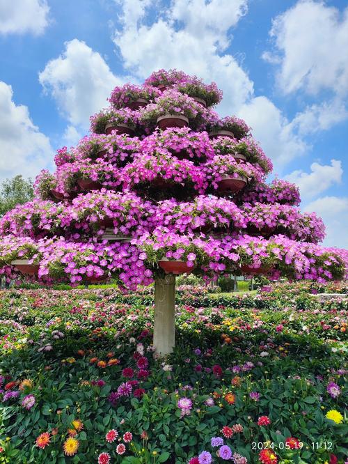 上海六月花季旅游景点介绍上海6月景点