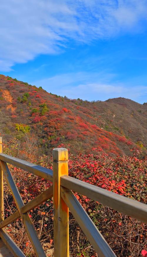 现在北京那个旅游景点的枫叶最漂亮想周末出去玩谢谢大家的建议