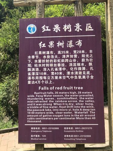 用导游的身份介绍绥阳红果树旅游景点写作文