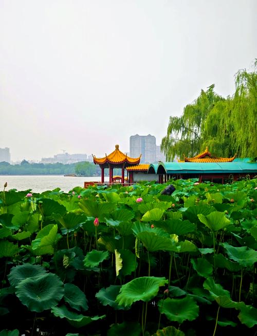 济南半日游推荐个旅游路线必须去的是大明湖和趵突泉麻烦帮忙下(图1)