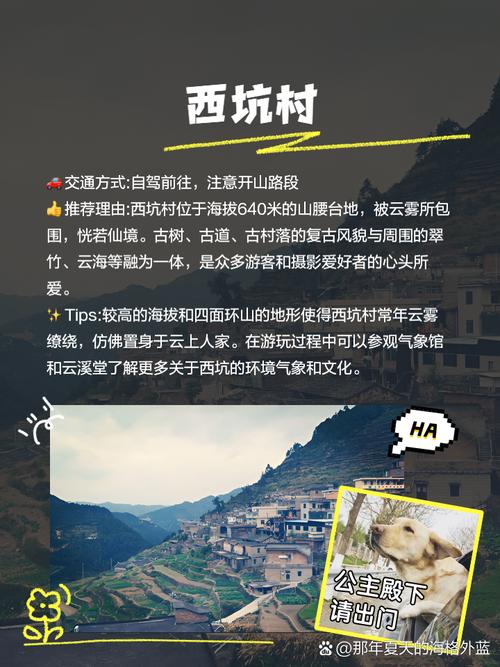 松阳旅游指南必看景点松阳旅游指南必看景点(图1)