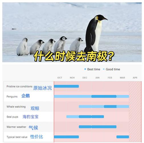 南极旅游最佳时间