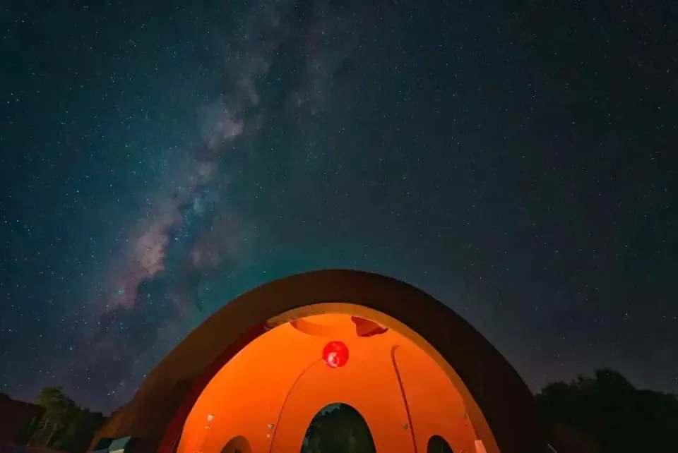 听云南 | 到景谷白马山旅游景区 开启充满生机活力的生态之旅(图5)