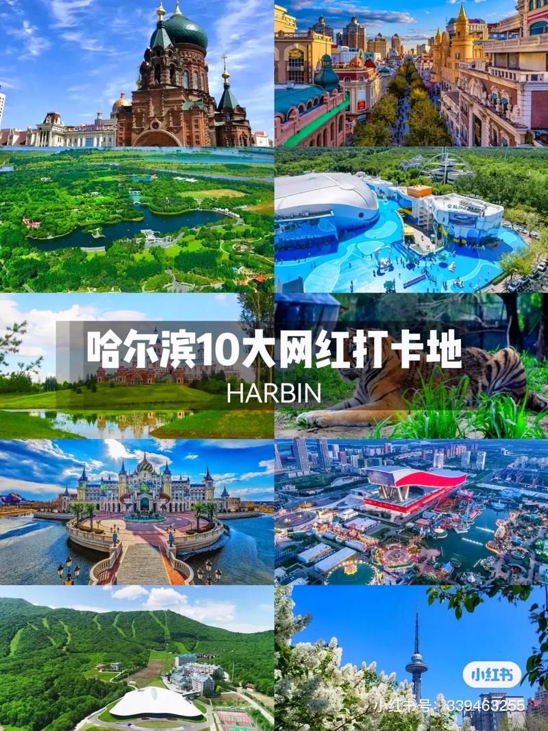 哈尔滨夏天旅游攻略必去景点推荐