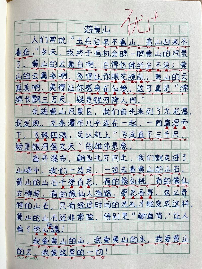 我一次奇怪的旅游包作文440字